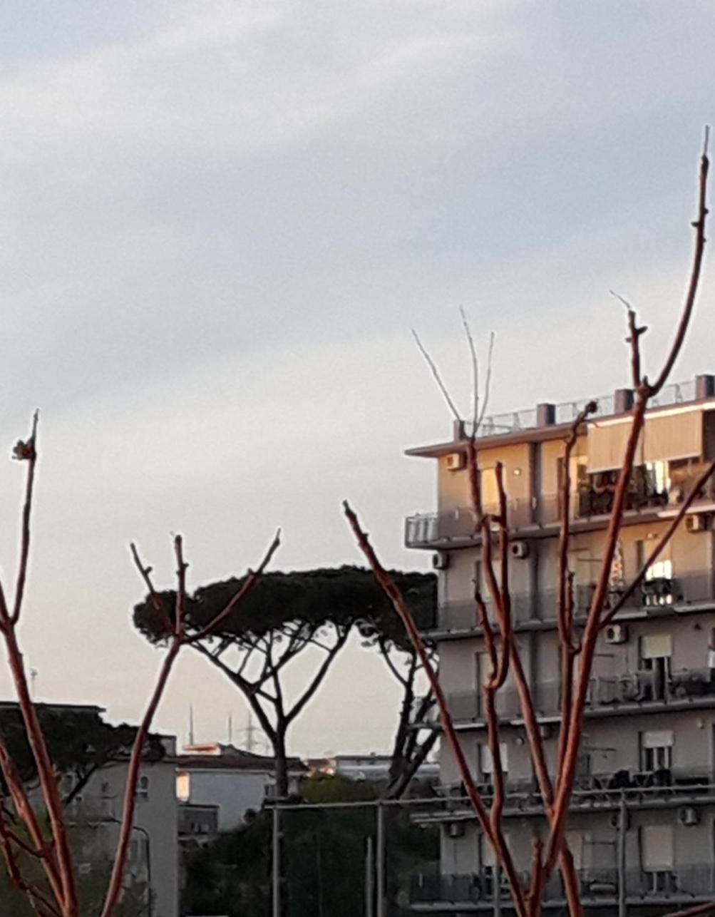 Mare Azzurro Panzió Torre del Greco Kültér fotó